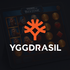 DuoSpin - Yggdrasil Provider Logo